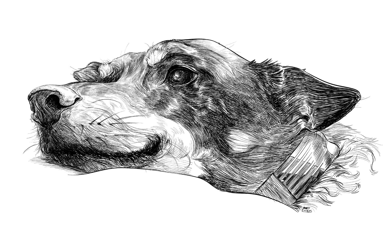 The most handsomest man in the world!